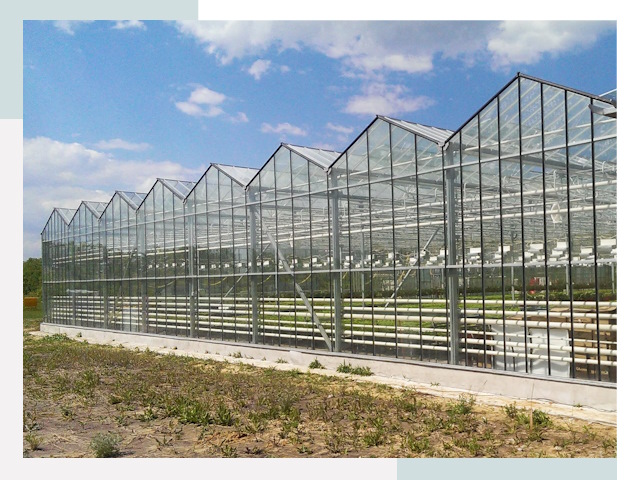 Строительство теплиц в Искитим от 612 руб. за м²