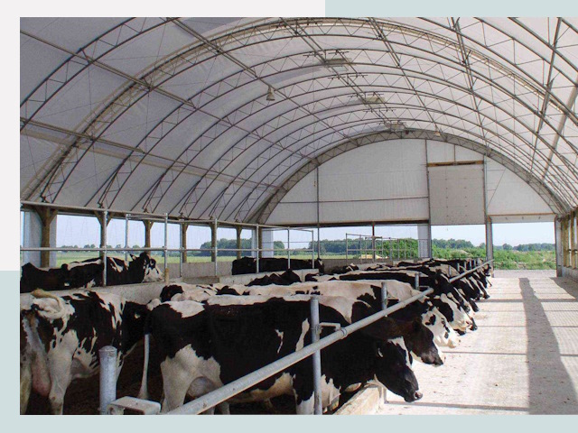 Тентовые коровники в Искитиме